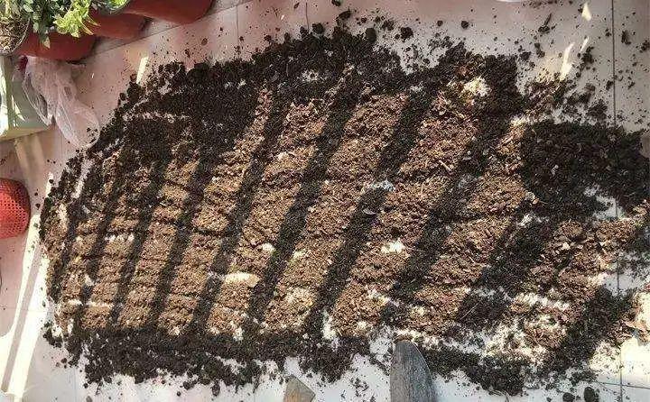 透明塑料膜抗紫外线涂层技术，应用与创新探究