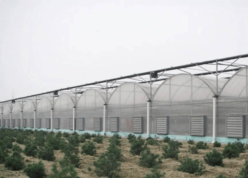 农业温室大棚塑料薄膜的耐候性分析