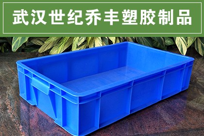 武汉塑料制品厂的崛起及未来展望