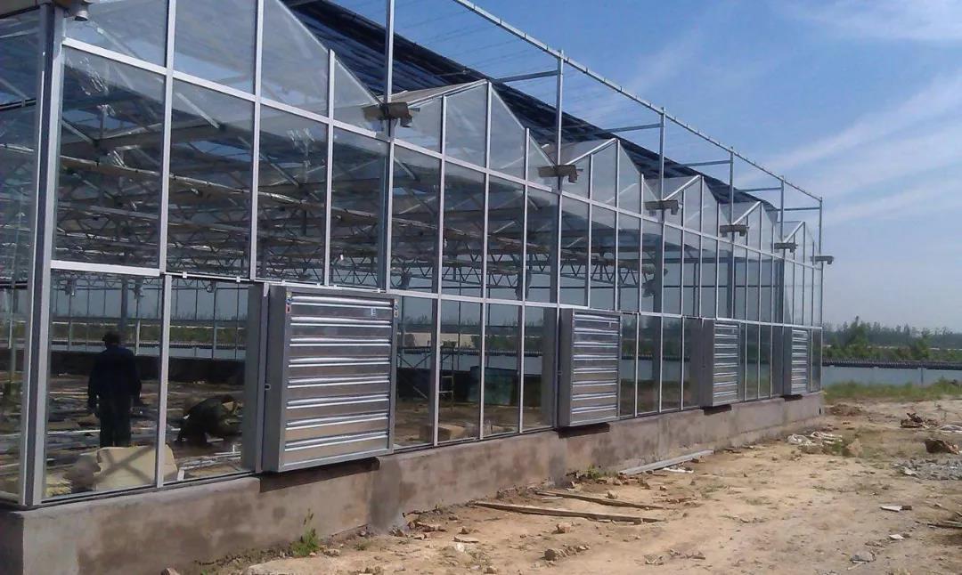 洛阳塑料制品有限公司，传统与创新的融合
