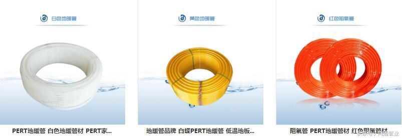 上海浦东塑料制品厂的崛起与未来展望